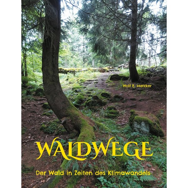 Waldwege
