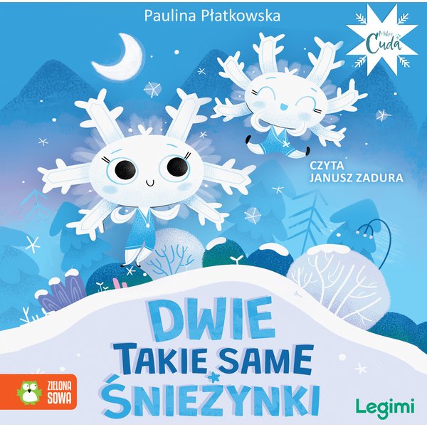 Dwie takie same śnieżynki