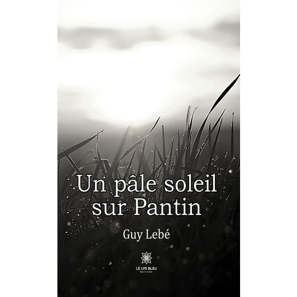 Un pâle soleil sur Pantin