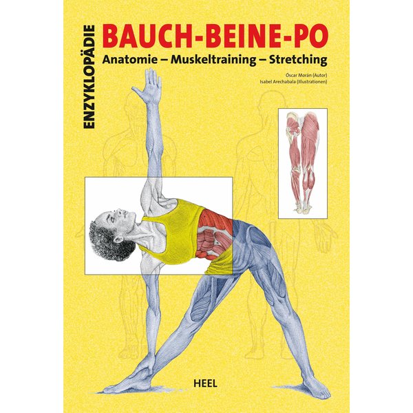 Enzyklopädie Bauch - Beine - Po