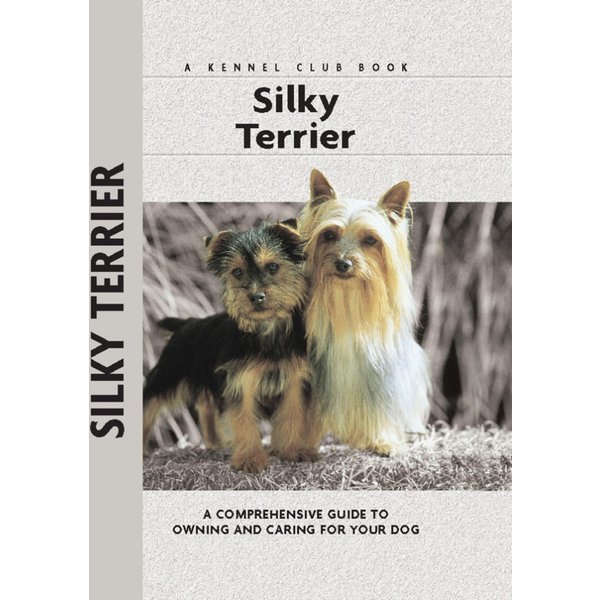 Silky Terrier