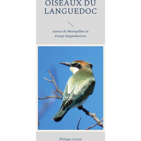 Oiseaux du Languedoc