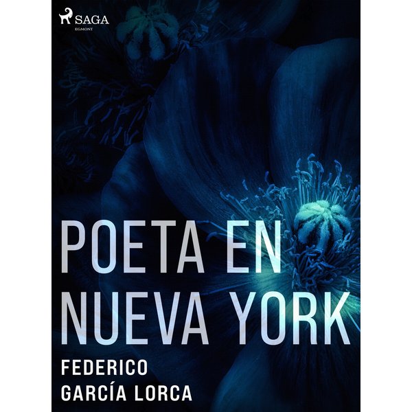 Poeta en Nueva York