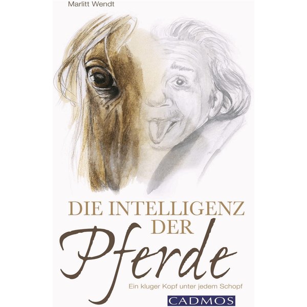 Die Intelligenz der Pferde