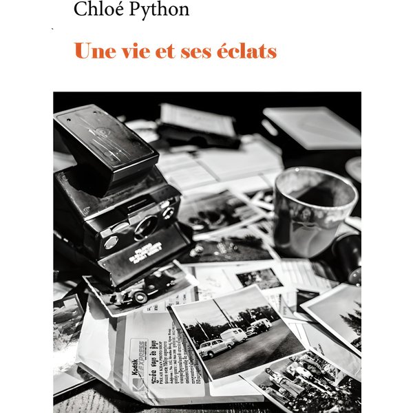 Une vie et ses éclats
