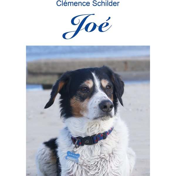 Joé