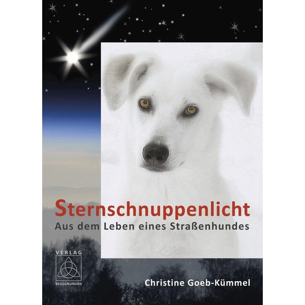 Sternschnuppenlicht