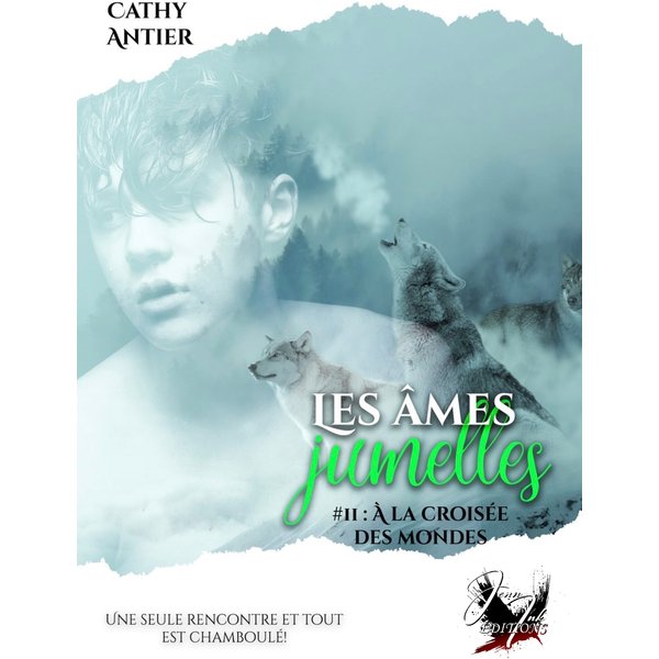 Les âmes jumelles - Tome 2