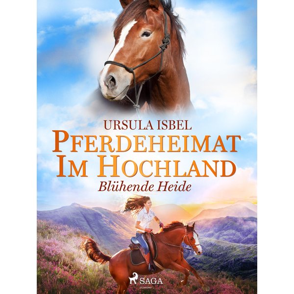 Pferdeheimat im Hochland - Blühende Heide