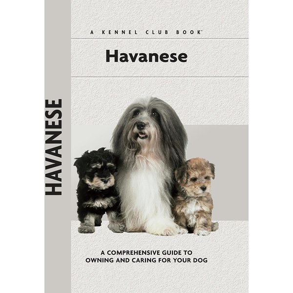 Havanese