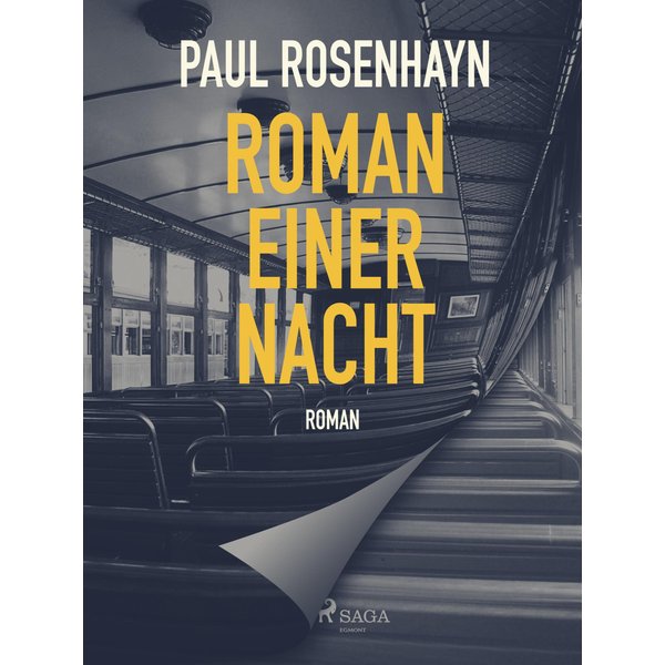 Roman einer Nacht