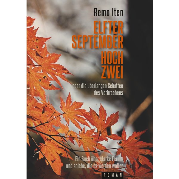 Elfter September hoch Zwei oder die überlangen Schatten des Verbrechens