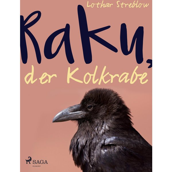 Raku, der Kolkrabe