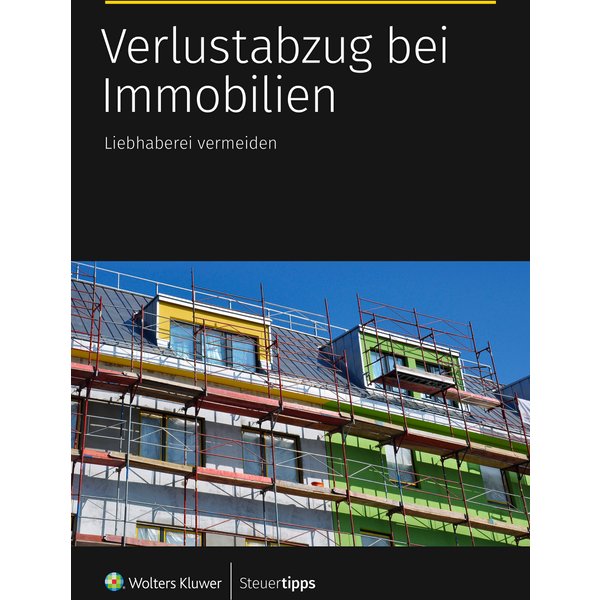Verlustabzug bei Immobilien