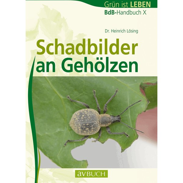 Schadbilder an Gehölzen