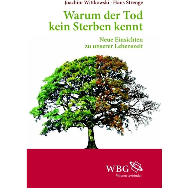 Warum der Tod kein Sterben kennt