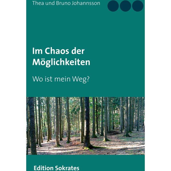 Im Chaos der Möglichkeiten