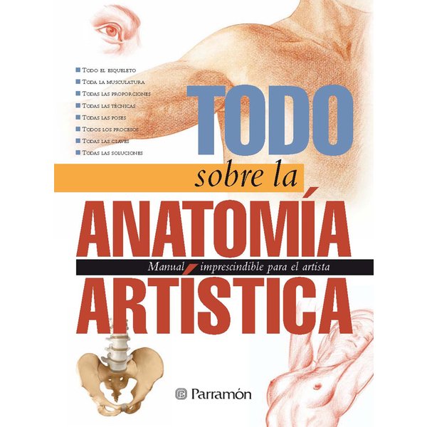 Todo sobre la anatomía artística