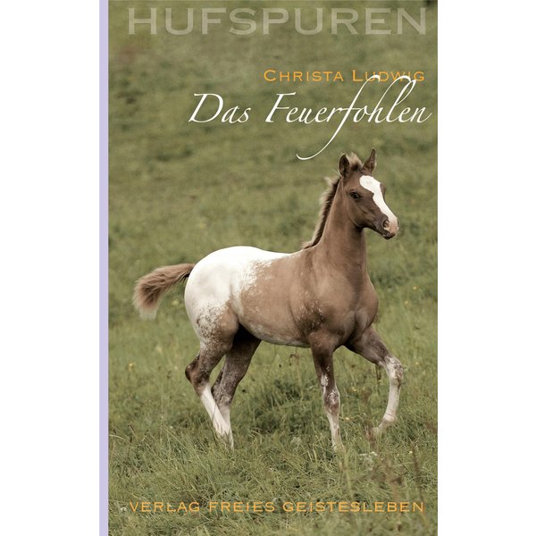 Hufspuren: Das Feuerfohlen