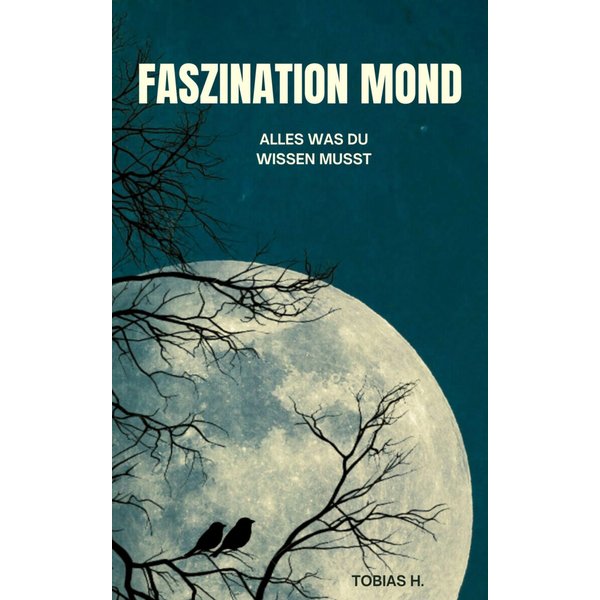 Faszination Mond - alles was du wissen musst