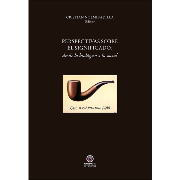 Perspectivas sobre el significado
