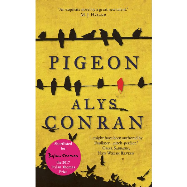Pigeon
