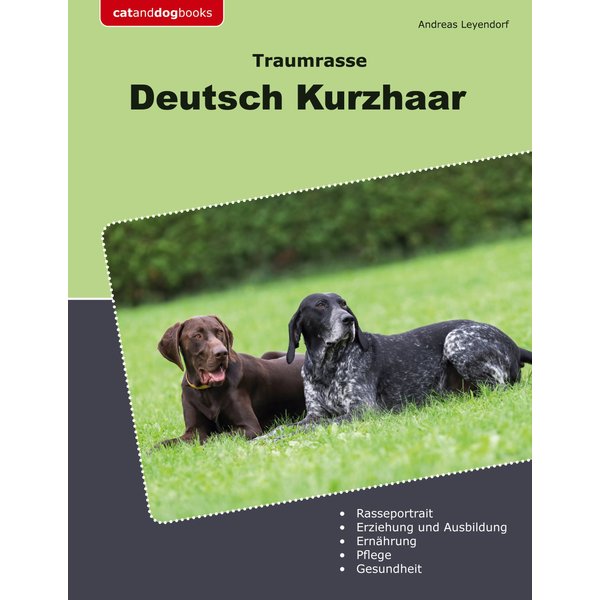 Traumrasse Deutsch Kurzhaar