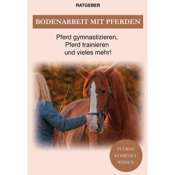 Bodenarbeit Pferd
