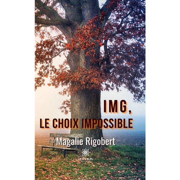 IMG, le choix impossible