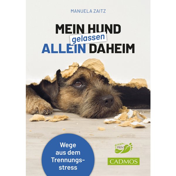 Mein Hund gelassen allein daheim