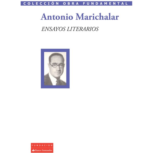 Ensayos literarios