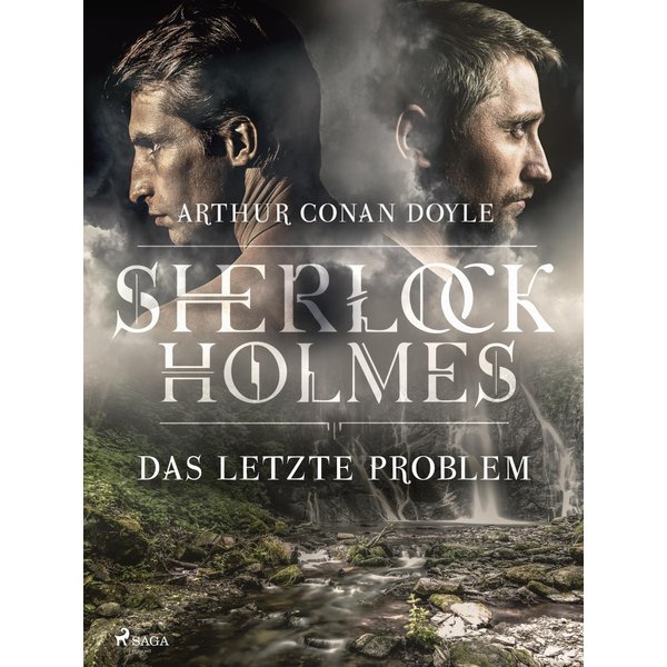 Das letzte Problem