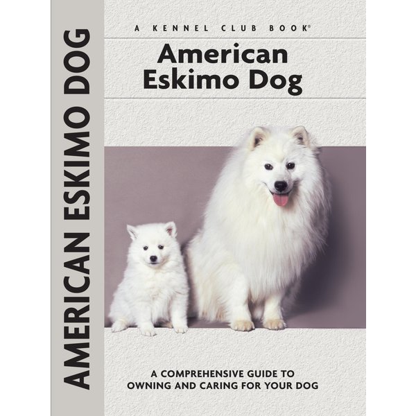 American Eskimo Dog