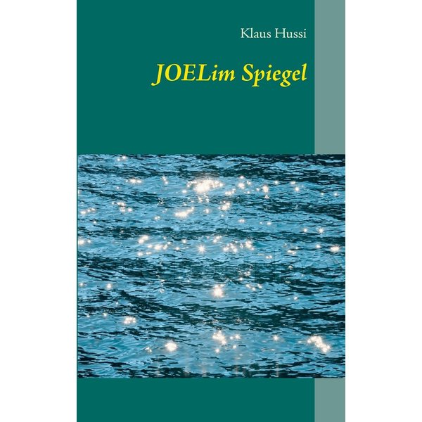 Joel im Spiegel