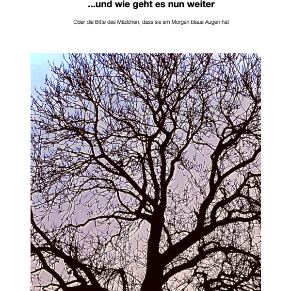 Und wie geht es nun weiter
