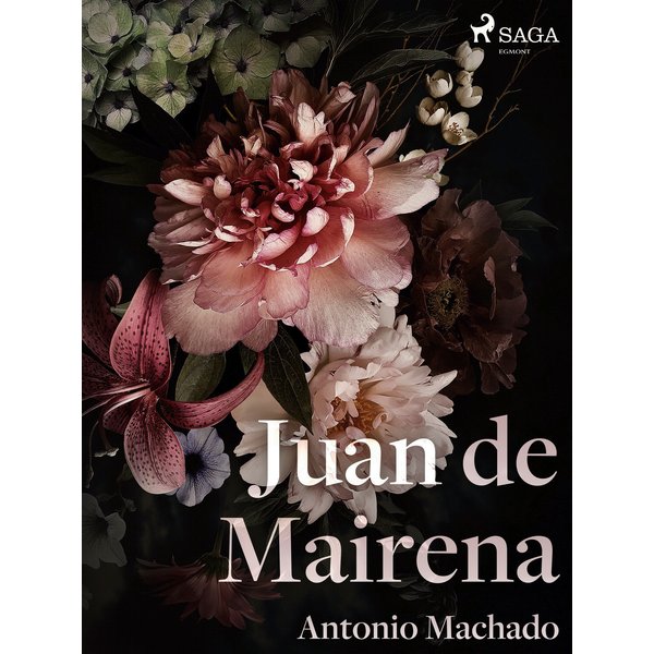 Juan de Mairena