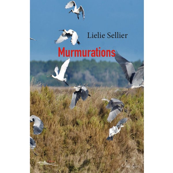 Murmurations