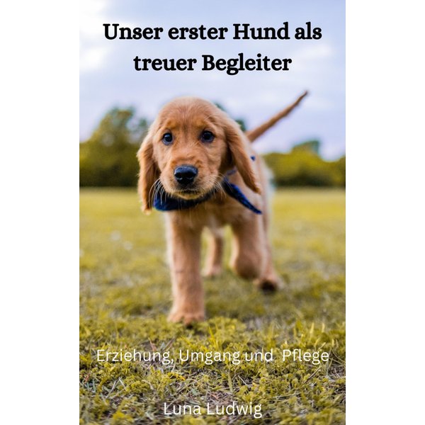 Mein erster Hund als treuer Begleiter