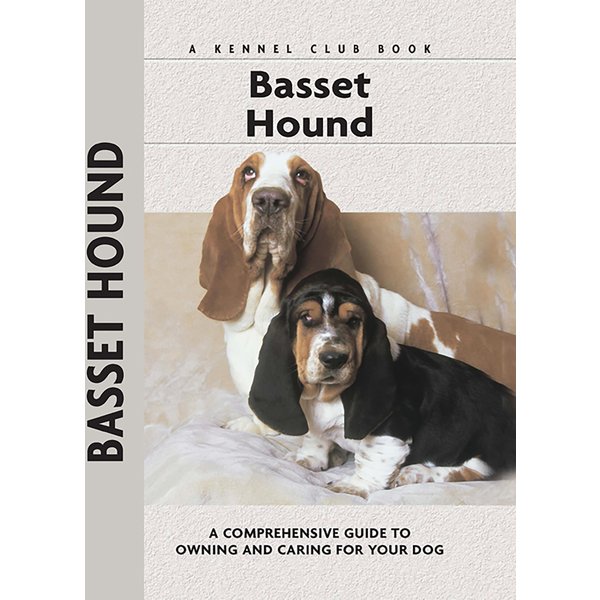 Basset Hound