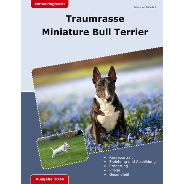 Traumrasse Miniature Bull Terrier