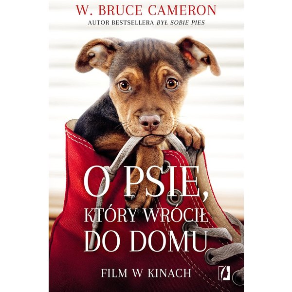 O psie, który wrócił do domu