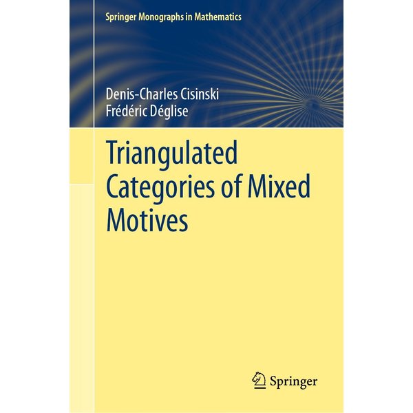 Triangulated Categories of Mixed Motives