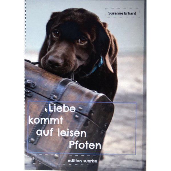 Liebe kommt auf leisen Pfoten