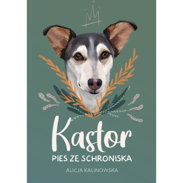 Kastor. Pies ze schroniska