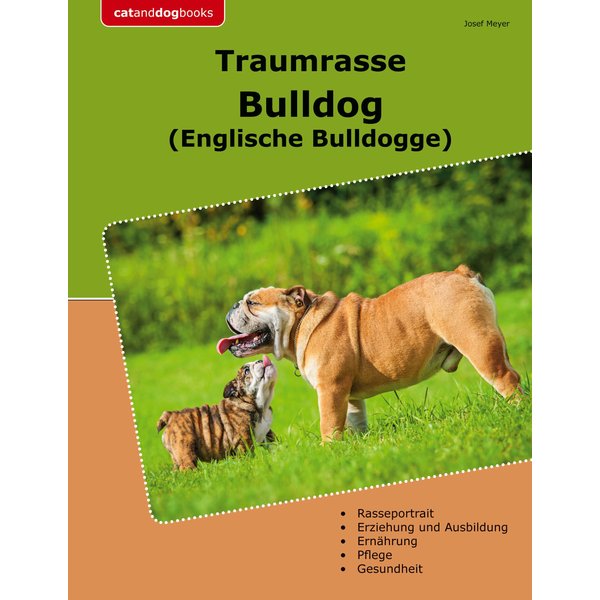 Traumrasse Bulldog
