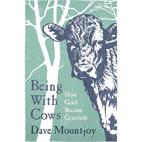 Being With Cows