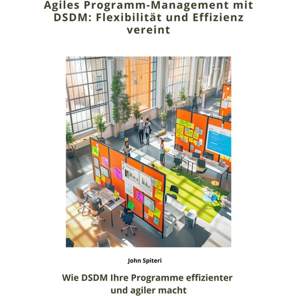 Agiles Programm-Management mit DSDM: Flexibilität und Effizienz vereint
