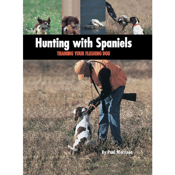 Hunting with Spaniels