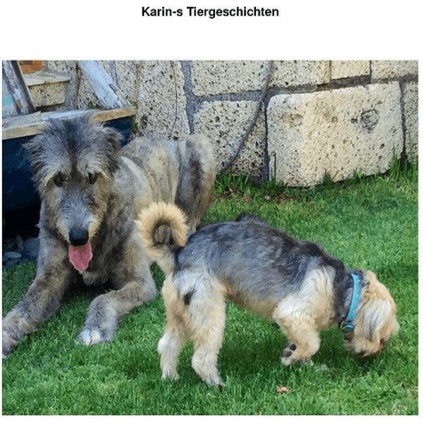 Karin's Tiergeschichten