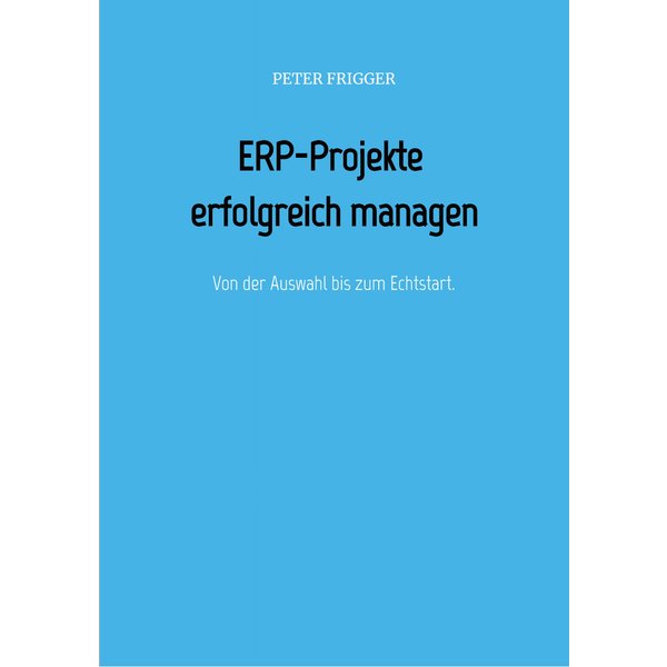 ERP-Projekte erfolgreich managen